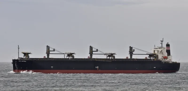 DAIO AUSTRAL Bulk Carrier IMO 9317391 photo 4