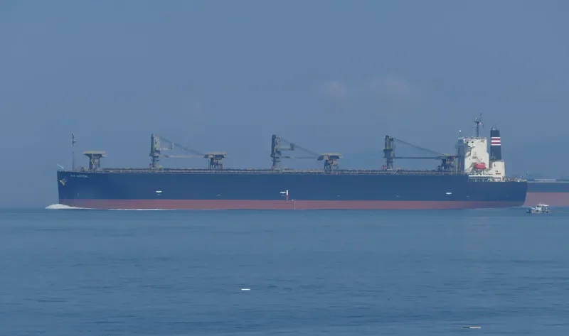 DAIO AUSTRAL Bulk Carrier IMO 9317391 photo 5