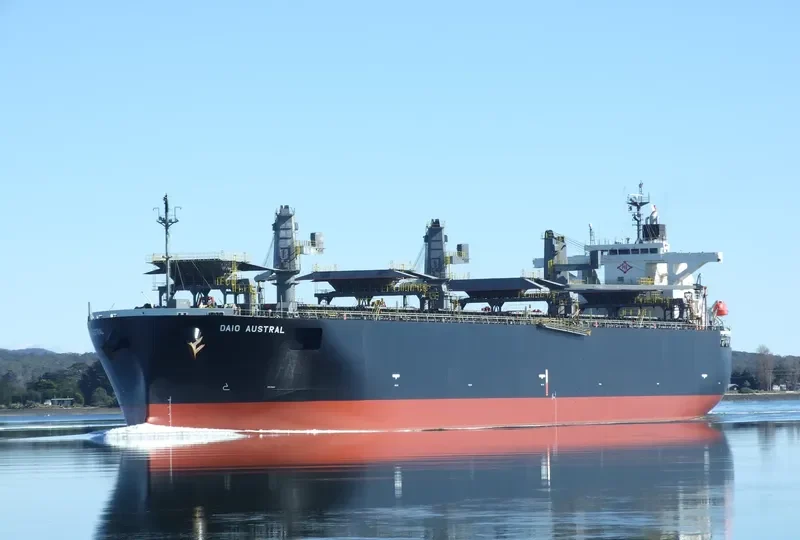 DAIO AUSTRAL Bulk Carrier IMO 9317391 photo 6