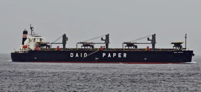 DAIO AUSTRAL Bulk Carrier IMO 9317391 photo 7