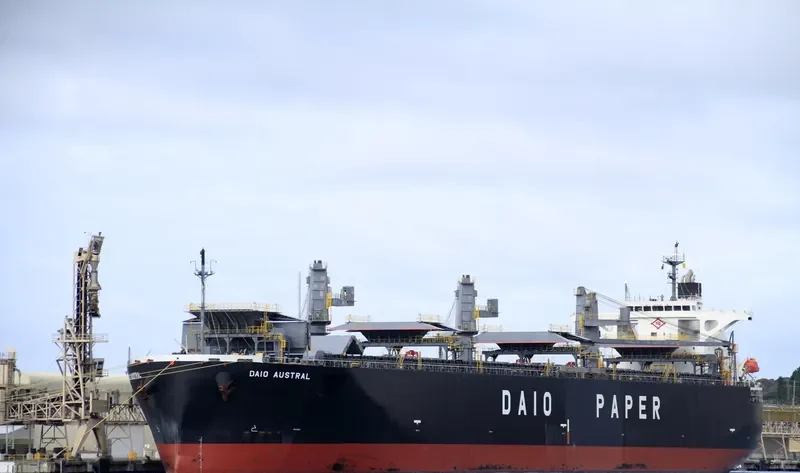 DAIO AUSTRAL Bulk Carrier IMO 9317391 photo 9
