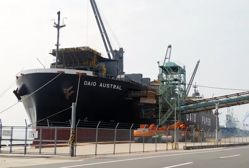 DAIO AUSTRAL Bulk Carrier IMO 9317391 photo 10