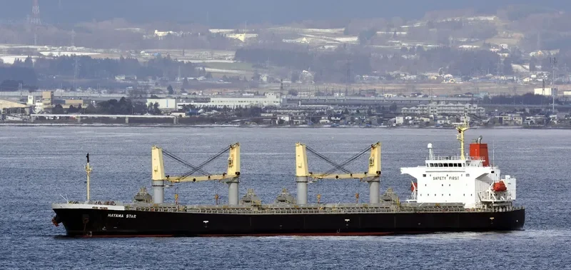 HAYAMA STAR Bulk Carrier IMO 9317420