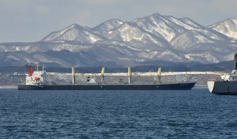HAYAMA STAR Bulk Carrier IMO 9317420 photo 2