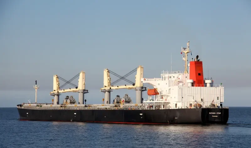 HAYAMA STAR Bulk Carrier IMO 9317420 photo 5
