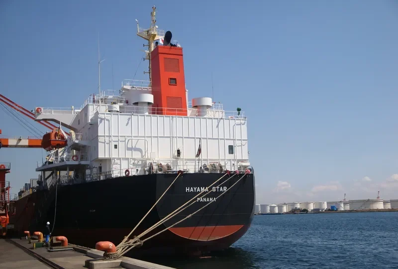 HAYAMA STAR Bulk Carrier IMO 9317420 photo 9