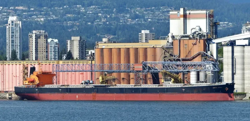 AGRI KINSALE Bulk Carrier IMO 9317456