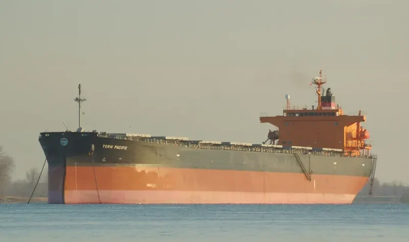 AGRI KINSALE Bulk Carrier IMO 9317456 photo 5