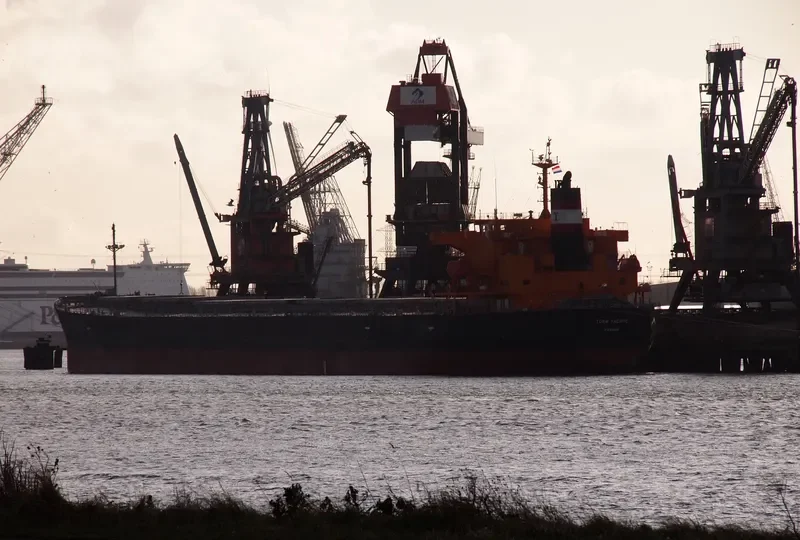 AGRI KINSALE Bulk Carrier IMO 9317456 photo 6