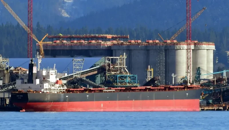 AGRI QUEEN Bulk Carrier IMO 9317468