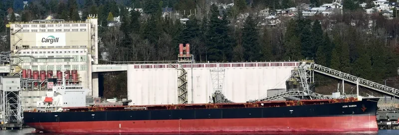 AGRI QUEEN Bulk Carrier IMO 9317468 photo 2