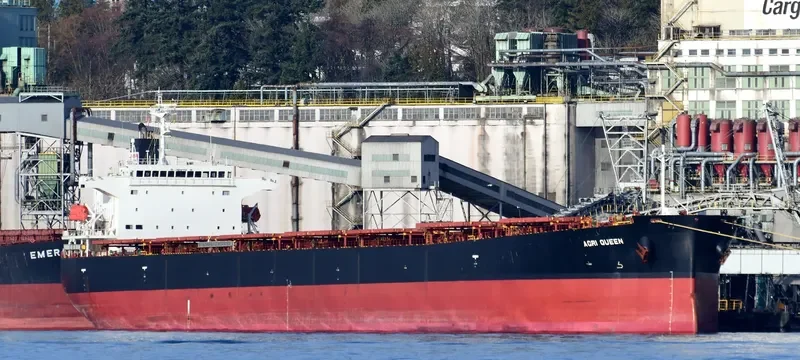 AGRI QUEEN Bulk Carrier IMO 9317468 photo 3