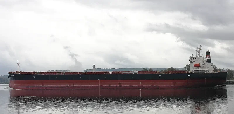 AGRI QUEEN Bulk Carrier IMO 9317468 photo 5