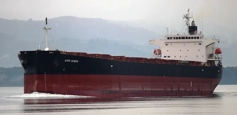 AGRI QUEEN Bulk Carrier IMO 9317468 photo 7