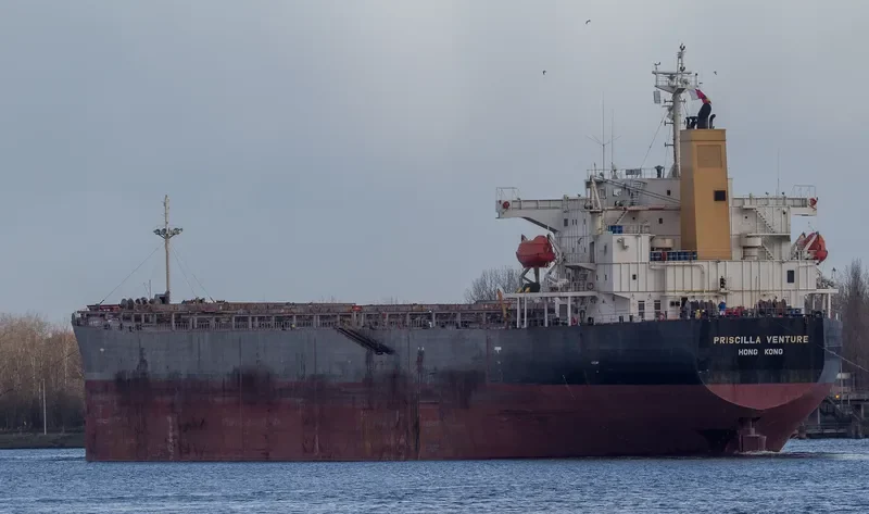 PRISCILLA VENTURE Bulk Carrier IMO 9317470 photo 2
