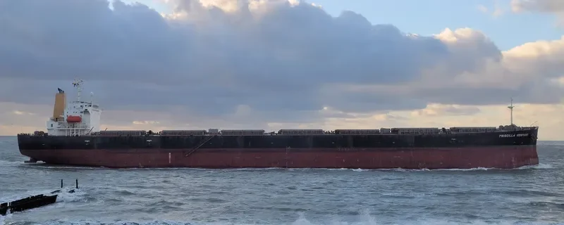 PRISCILLA VENTURE Bulk Carrier IMO 9317470 photo 3