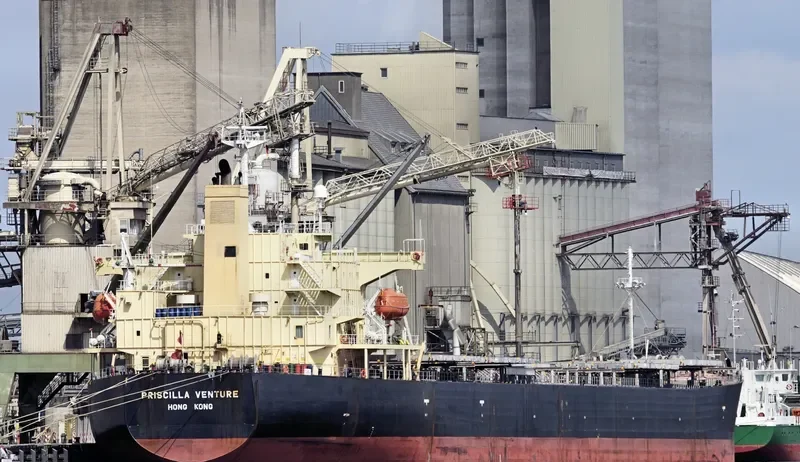 PRISCILLA VENTURE Bulk Carrier IMO 9317470 photo 6
