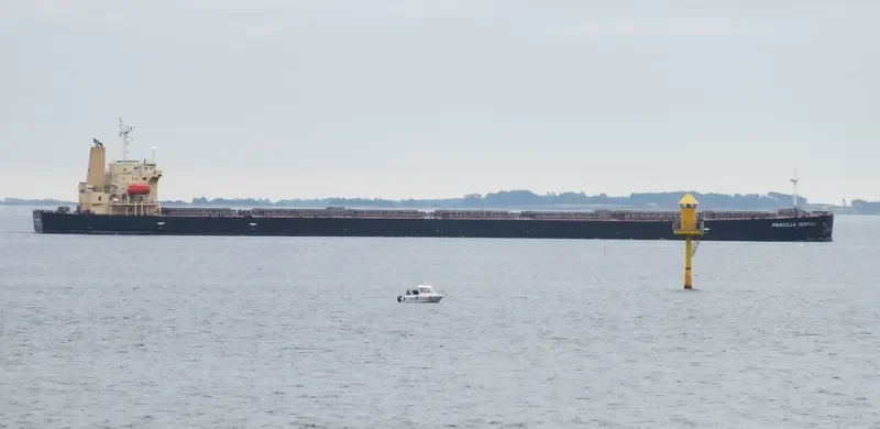 PRISCILLA VENTURE Bulk Carrier IMO 9317470 photo 8