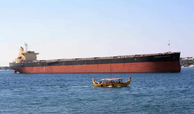PRISCILLA VENTURE Bulk Carrier IMO 9317470 photo 10