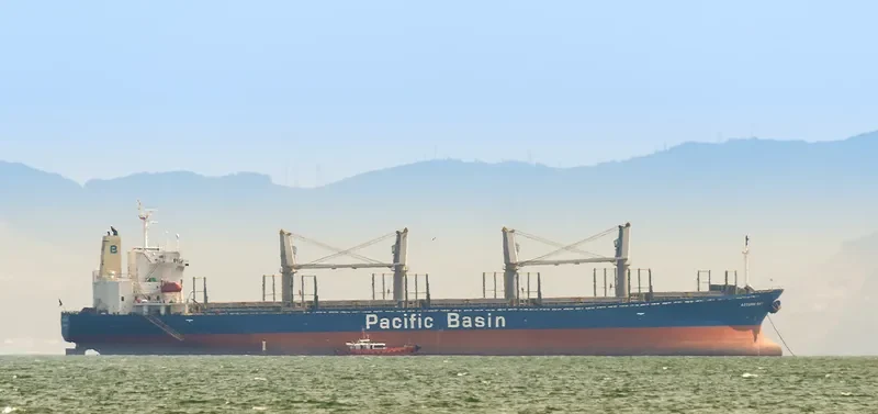 ASTORIA BAY Bulk Carrier IMO 9317482 photo 2