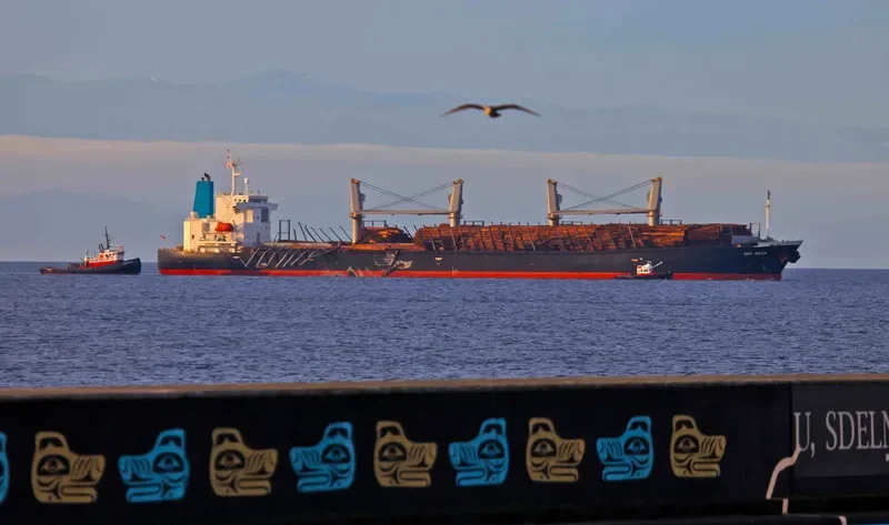 ASTORIA BAY Bulk Carrier IMO 9317482 photo 6