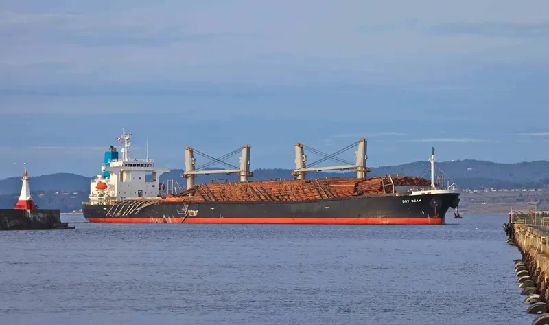 ASTORIA BAY Bulk Carrier IMO 9317482 photo 7