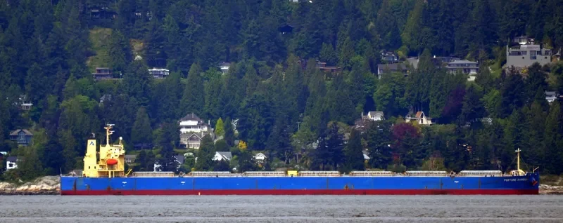 ASL URANUS Bulk Carrier IMO 9317511 photo 6