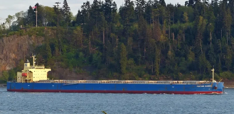 ASL URANUS Bulk Carrier IMO 9317511 photo 8