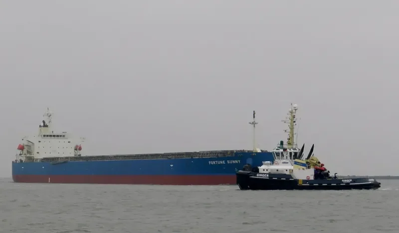 STL MIRACLE Bulk Carrier IMO 9317523 photo 3