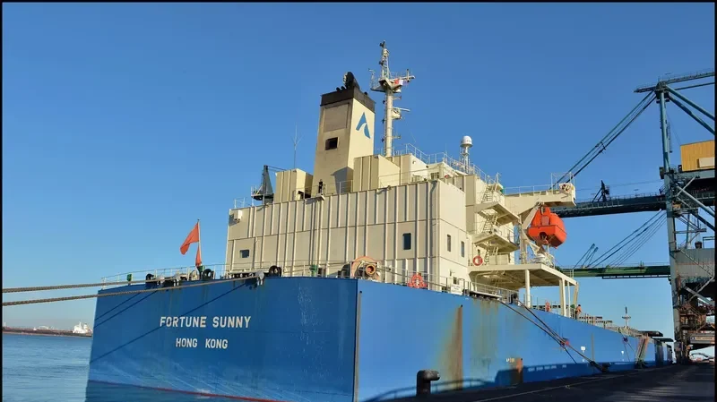 STL MIRACLE Bulk Carrier IMO 9317523 photo 8