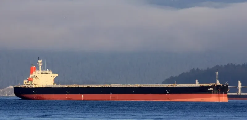 S'HAIL LUSAIL Bulk Carrier IMO 9317535 photo 5