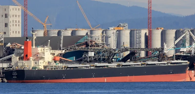 S'HAIL LUSAIL Bulk Carrier IMO 9317535 photo 6