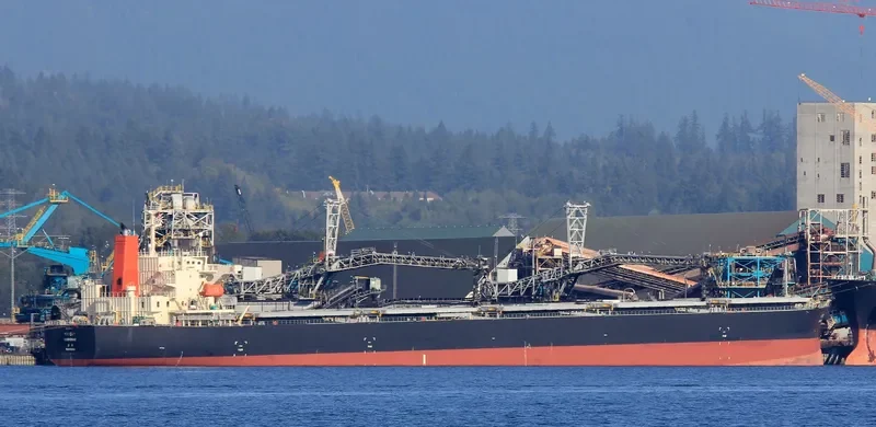S'HAIL LUSAIL Bulk Carrier IMO 9317535 photo 7
