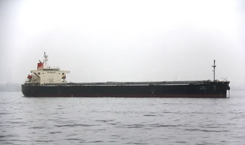 S'HAIL LUSAIL Bulk Carrier IMO 9317535 photo 9