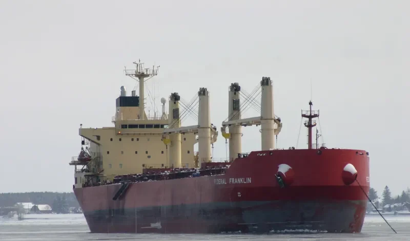 SEA FORTRESS Bulk Carrier IMO 9317547 photo 2