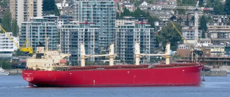 SEA FORTRESS Bulk Carrier IMO 9317547 photo 6