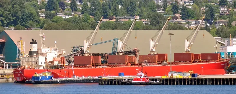 SEA FORTRESS Bulk Carrier IMO 9317547 photo 7