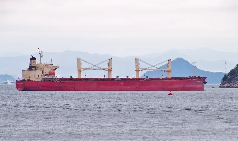SEA FORTRESS Bulk Carrier IMO 9317547 photo 9