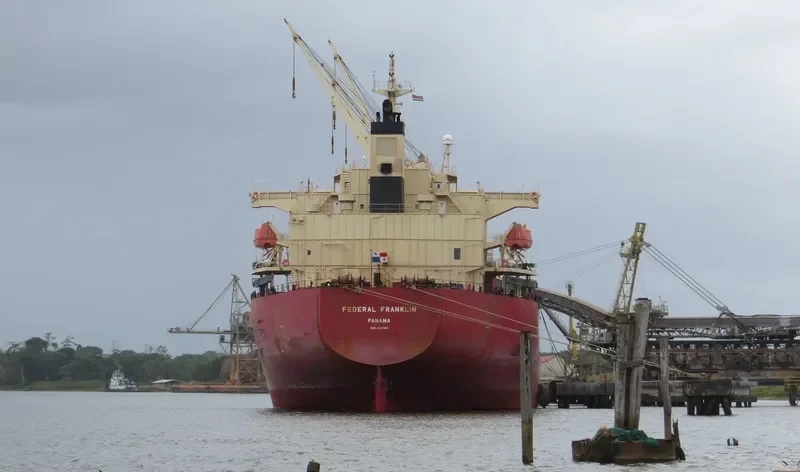 SEA FORTRESS Bulk Carrier IMO 9317547 photo 10