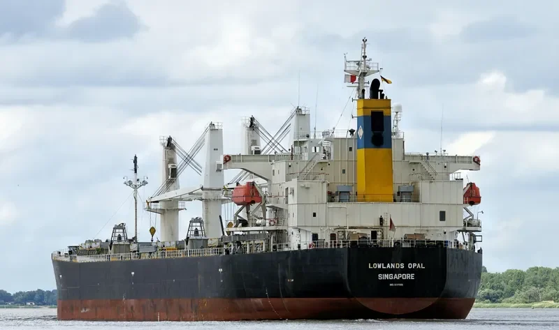 LOWLANDS OPAL Bulk Carrier IMO 9317559 photo 3