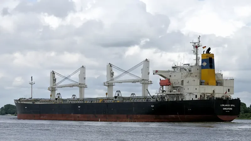 LOWLANDS OPAL Bulk Carrier IMO 9317559 photo 4