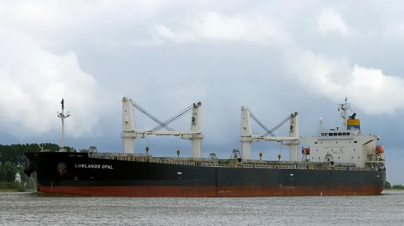 LOWLANDS OPAL Bulk Carrier IMO 9317559 photo 5