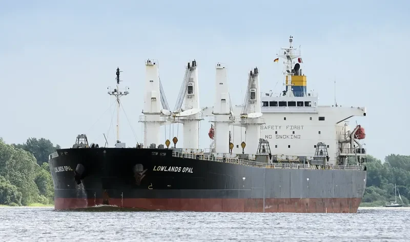 LOWLANDS OPAL Bulk Carrier IMO 9317559 photo 6