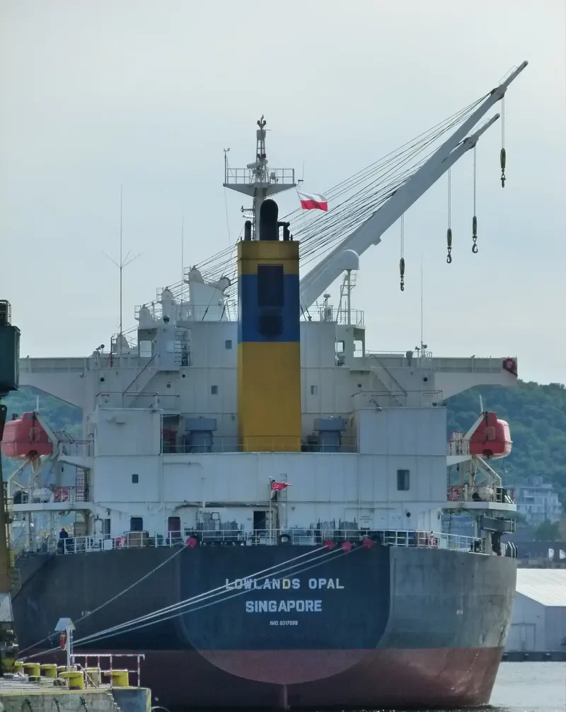 LOWLANDS OPAL Bulk Carrier IMO 9317559 photo 7