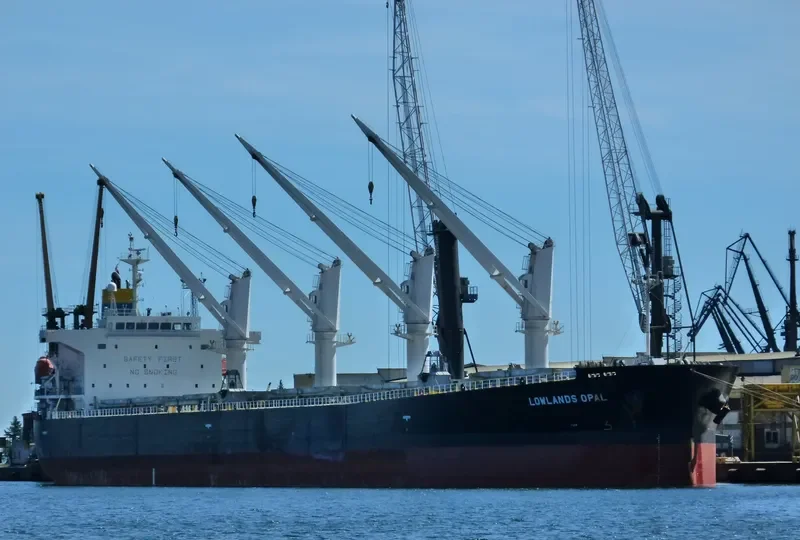 LOWLANDS OPAL Bulk Carrier IMO 9317559 photo 8