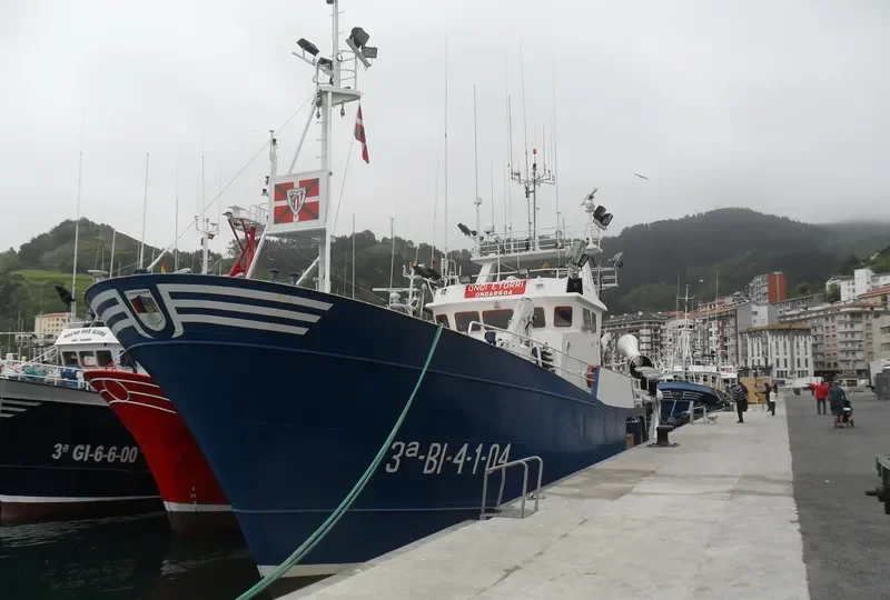 ONGI ETORI General Cargo IMO 9317561 photo 3