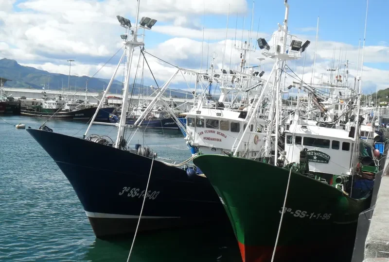 SAN FERMIN BERRIA General Cargo IMO 9317614 photo 7