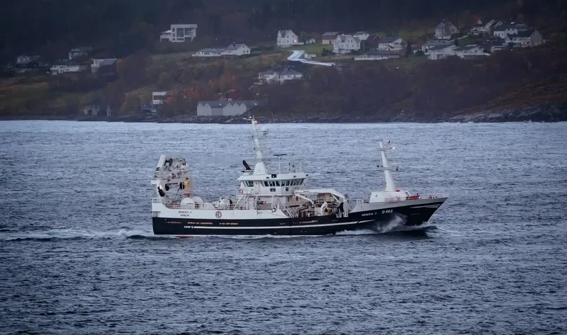 GENESIS II General Cargo IMO 9317688 photo 4