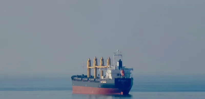 PROPEL PROSPERITY General Cargo IMO 9317690 photo 6
