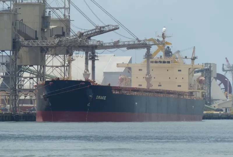 ANTHEA Bulk Carrier IMO 9317729 photo 2